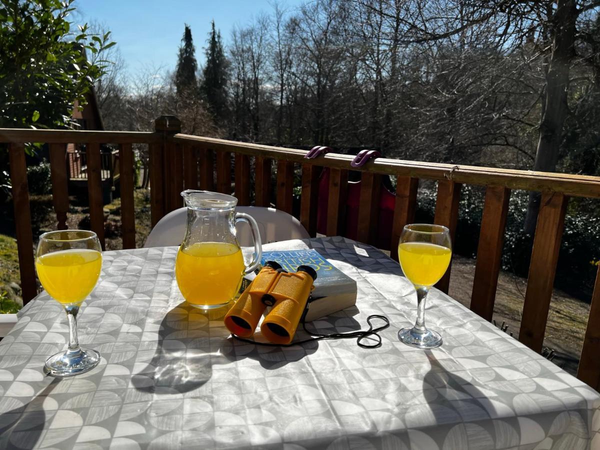 Ericht Holiday Lodges Blairgowrie and Rattray Zewnętrze zdjęcie